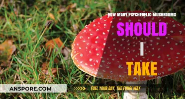 Tripping on Shrooms: Ideal Mushroom Dosage for a Safe Experience