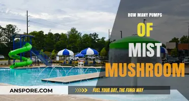 The Perfect Number of Pumps for Mist Mushrooms