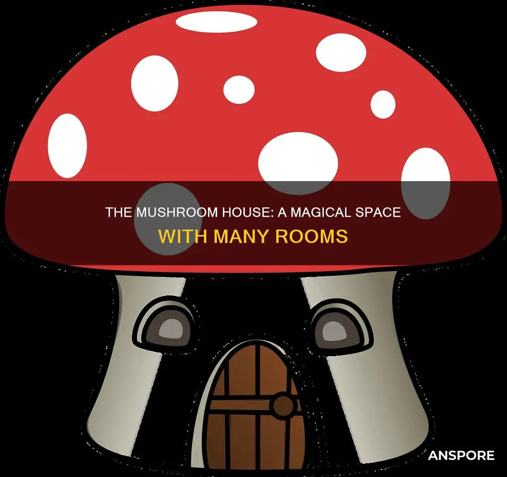 how many rooms are in the mushroom house