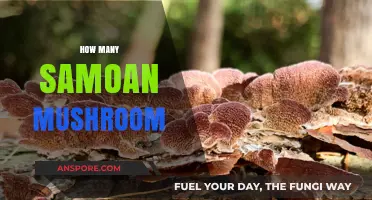 Samoan Mushrooms: A Mycological Mystery