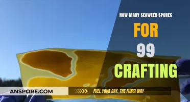 Seaweed Spores for 99 Crafting: Optimal Quantity Guide