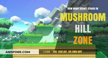 Exploring Mushroom Hill Zone's Secret Stages