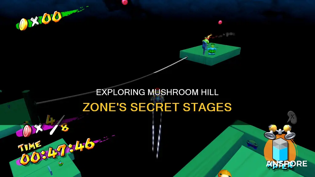 how many secret stages in mushroom hill zone