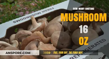 Shiitake Mushrooms: Understanding 16 Ounces