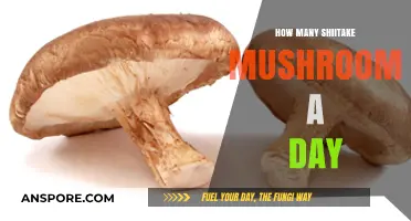 Shiitake Mushrooms: Safe Daily Intake and Benefits