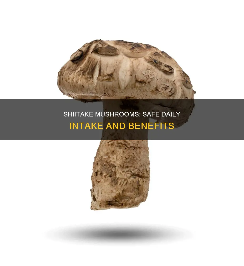 how many shiitake mushrooms a day