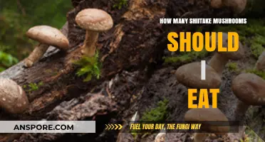 Optimal Shiitake Mushroom Serving: Health Benefits and Daily Intake Guide