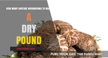Shiitake Mushroom Conversion: How Many to Make a Dry Pound?