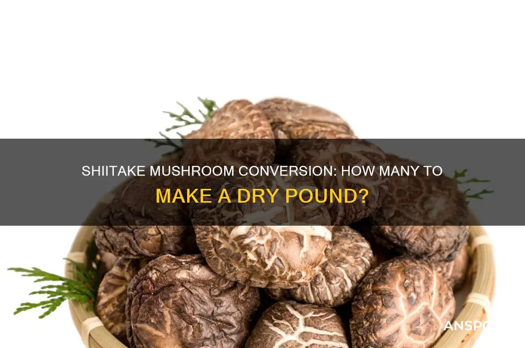 how many shiitake mushrooms to make a dry pound