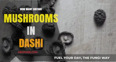 Dashi's Shiitake Mushroom Measurements: Getting the Balance Right