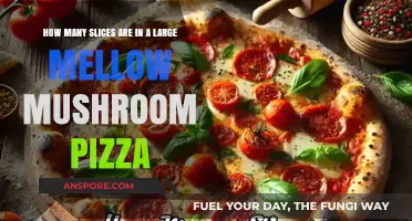 Large Mellow Mushroom Pizza: How Many Slices?
