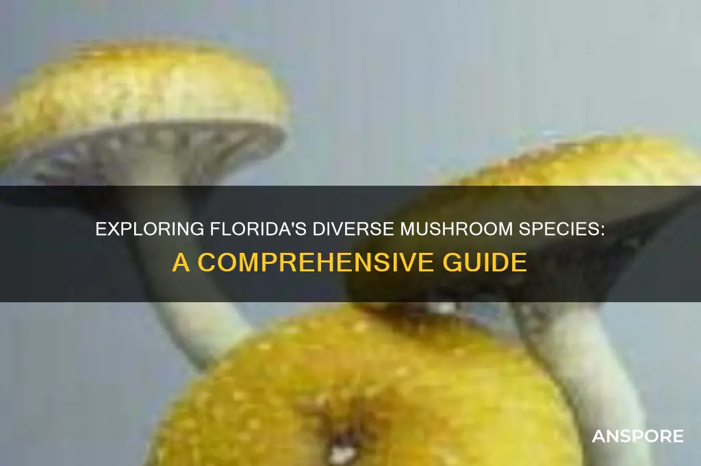 how many species of mushrooms grow in florida