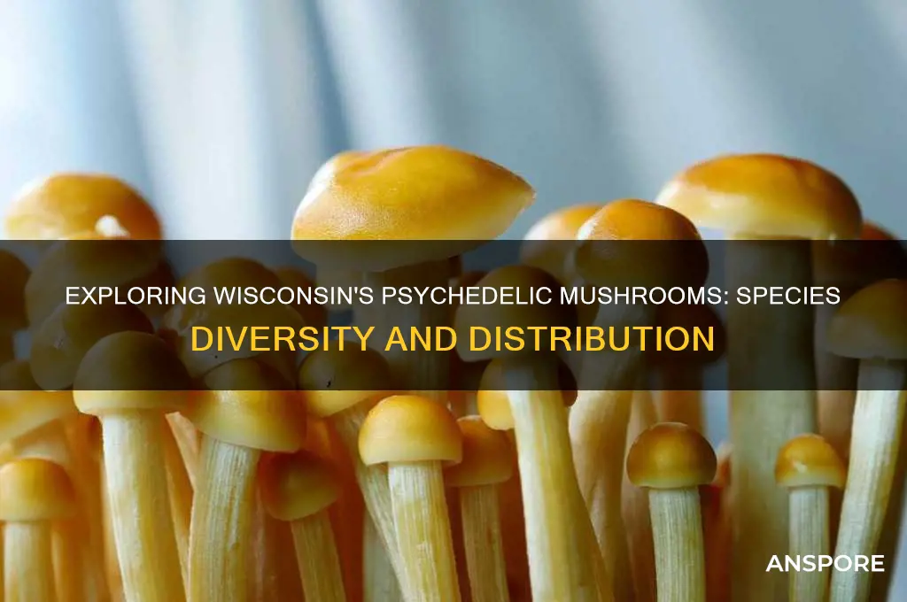 how many species of psychedelic mushrooms grow in wisconsin