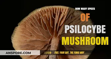 Discovering the Many Varieties of Magic Mushrooms