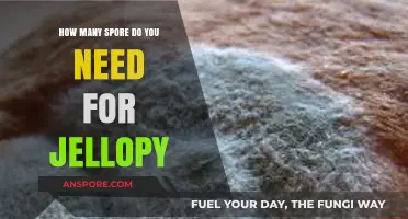 Perfecting Jellopy: Understanding the Ideal Spore Quantity for Successful Cultivation