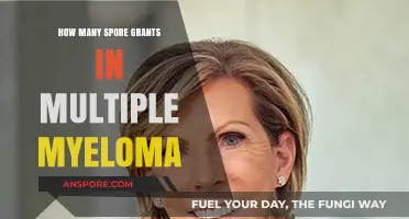 Understanding Spore Grants in Multiple Myeloma: Availability and Impact