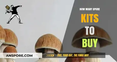 Choosing the Right Number of Spore Kits for Your Mushroom Cultivation