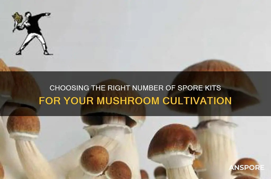 how many spore kits to buy