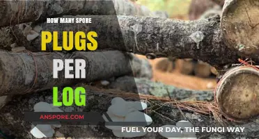 Optimal Spore Plug Density: Maximizing Mushroom Yield in Log Cultivation