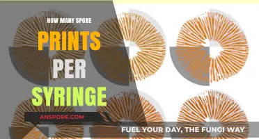 Maximizing Spore Prints: Yield per Syringe Explained for Mushroom Growers