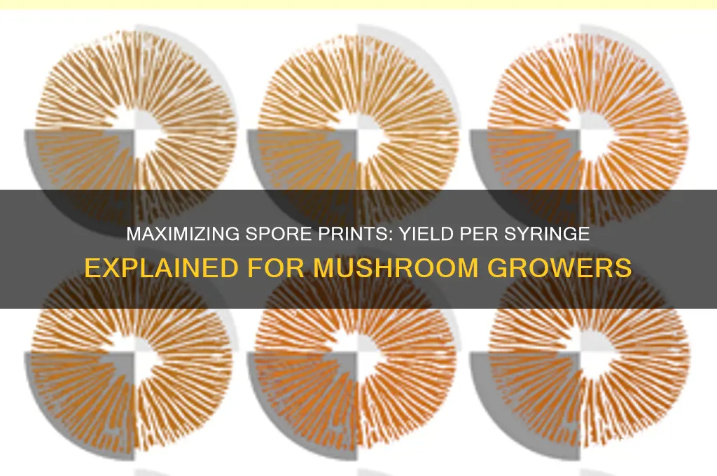 how many spore prints per syringe