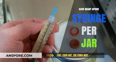 Optimal Spore Syringe Usage: How Many Per Jar for Best Results?