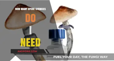Determining the Right Number of Spore Syringes for Your Needs