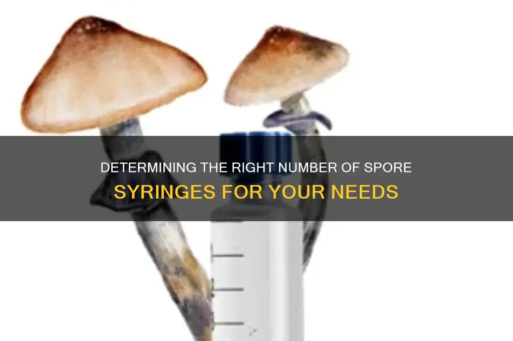 how many spore syringes do i need