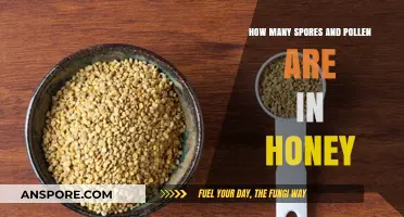 Exploring Honey's Hidden Treasures: Pollen and Spore Counts Revealed