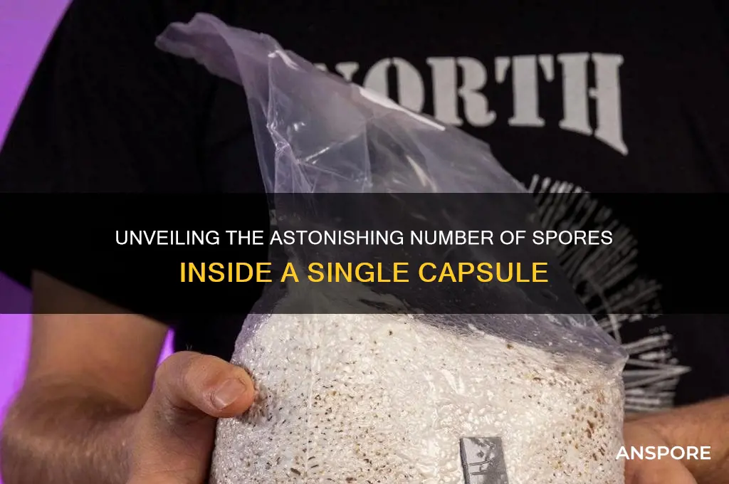 how many spores are in a capsule