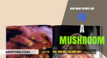 Unveiling the Countless Spores in Mushrooms