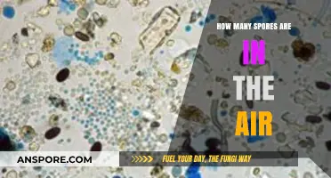 Unveiling the Invisible: Understanding Airborne Spore Concentrations