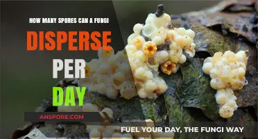 Daily Fungal Spore Dispersal: Unveiling the Astonishing Quantity Released