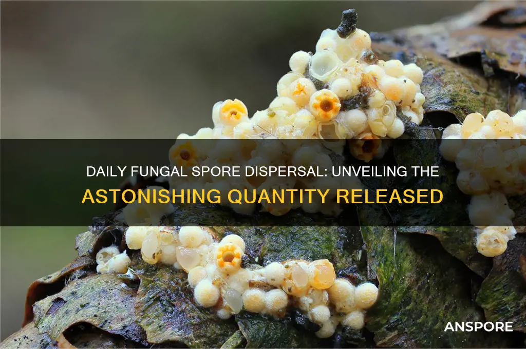 how many spores can a fungi disperse per day