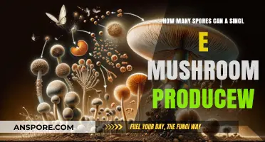 Astonishing Spore Production: How Many Spores Can a Single Mushroom Release?