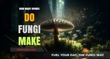 Exploring the Astonishing Spore Production of Fungi: A Deep Dive