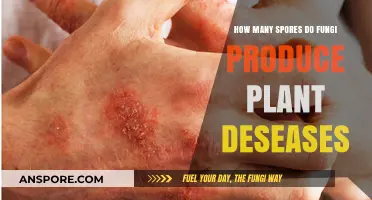 Fungal Spores and Plant Diseases: Understanding Their Prolific Production