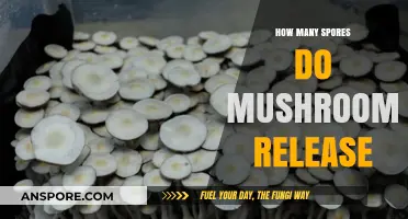 Mushroom Spore Release: Unveiling the Astonishing Quantity and Impact