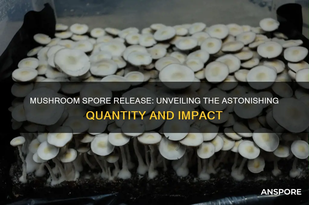 how many spores do mushrooms release
