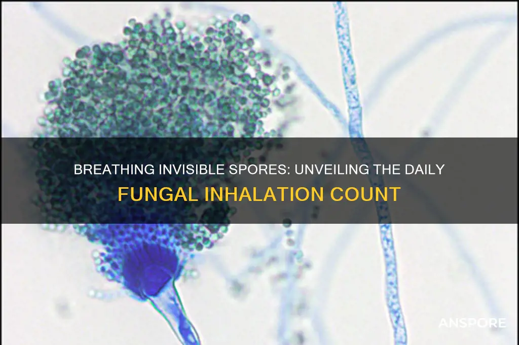 how many spores do we breathe in