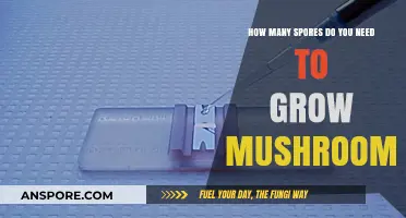Optimal Spore Count for Successful Mushroom Cultivation: A Comprehensive Guide