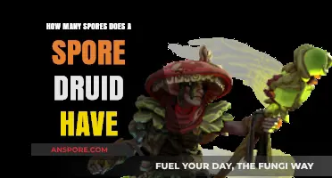 Understanding Spore Druids: Counting Their Spores and Abilities