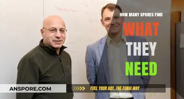 Spores' Survival Quest: Finding Essential Resources in Vast Environments