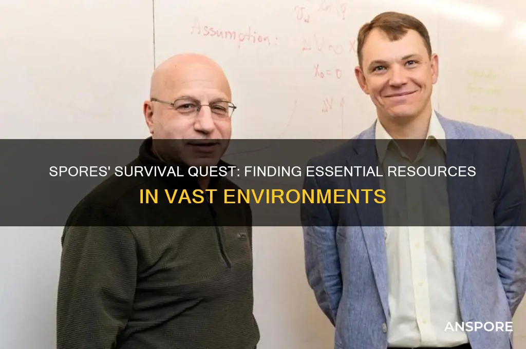 how many spores find what they need