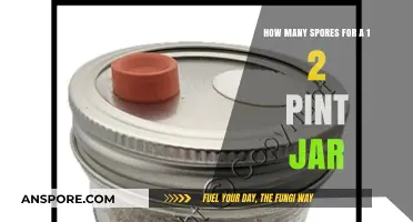 Perfect Spore Count for 1/2 Pint Jars: A Beginner's Guide