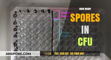 Understanding CFU: Measuring Spores in Colony Forming Units