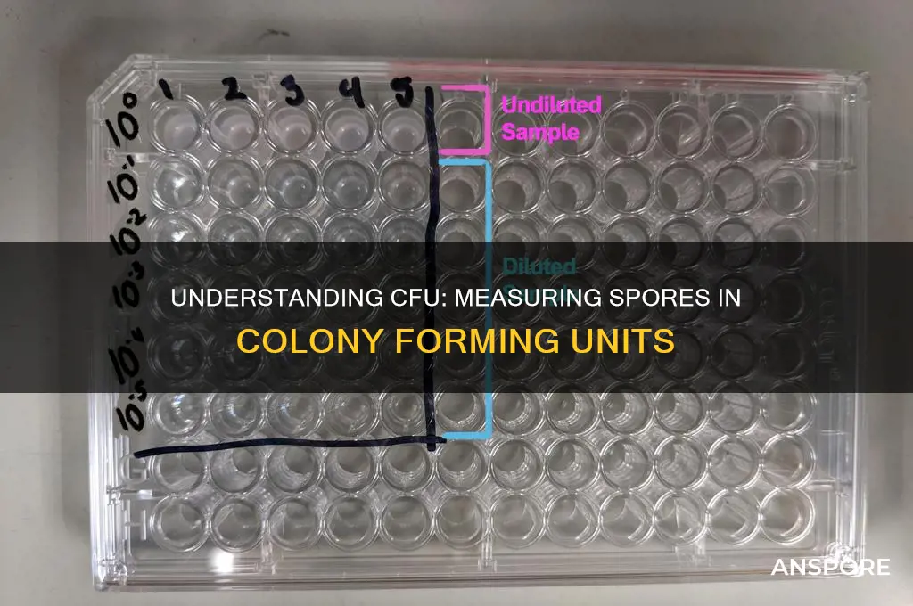how many spores in cfu