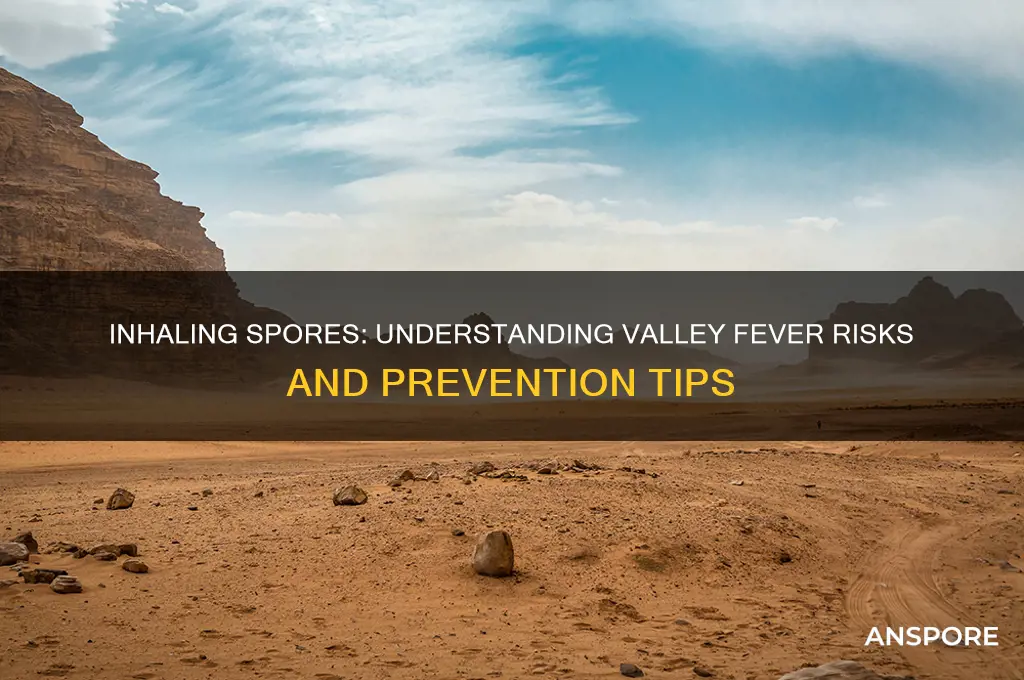 how many spores inhale get valley fever