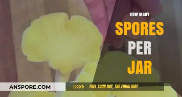 Maximizing Mushroom Yield: Understanding Spores per Jar for Optimal Growth