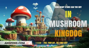 Buying Stars in Mushroom Kingdom: A Guide to Cosmic Purchases